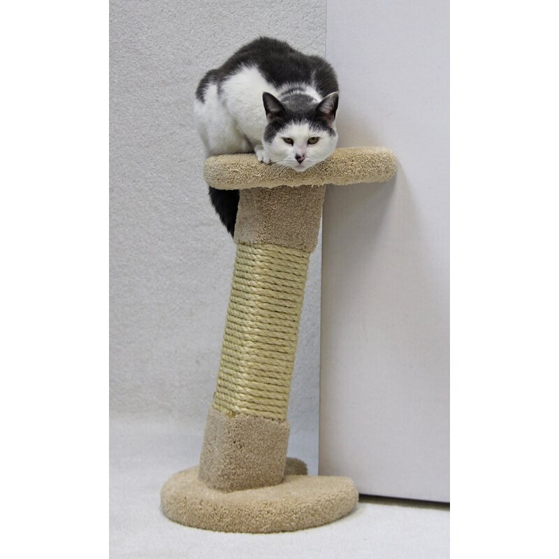 Wayfair cat retailer scratching post